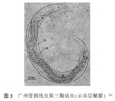 4ebf33.