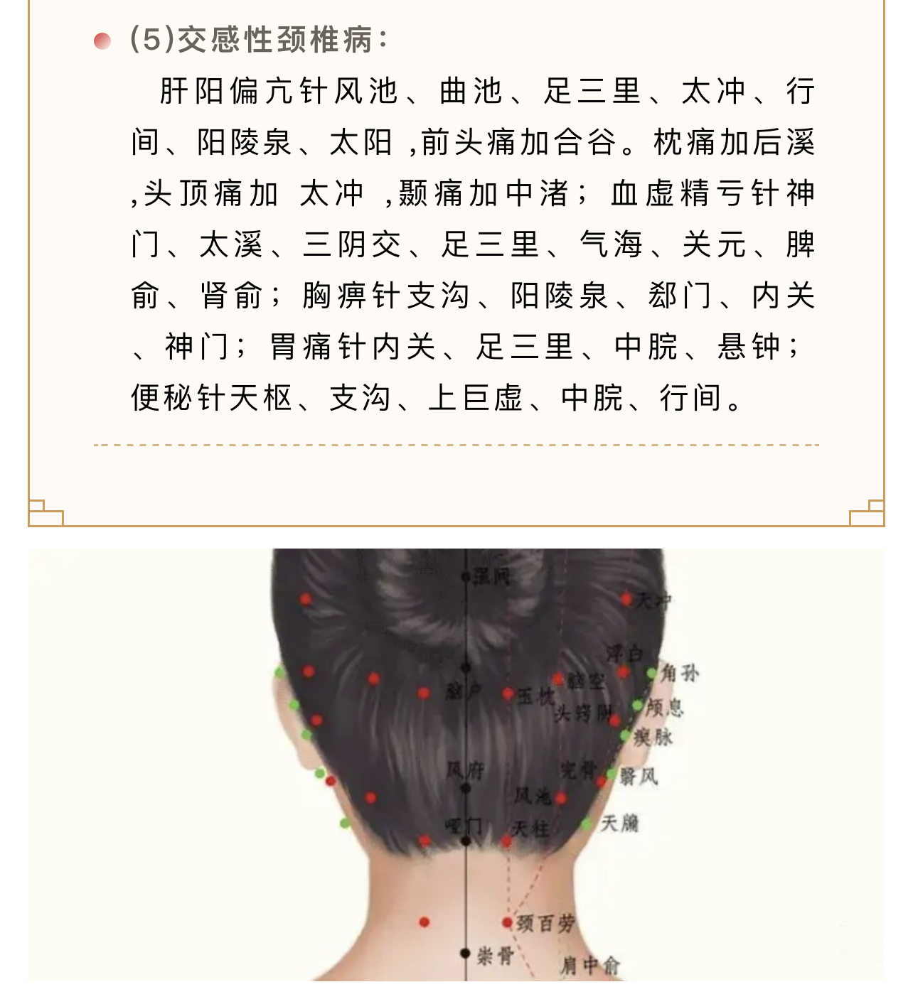 Hình ảnh 6