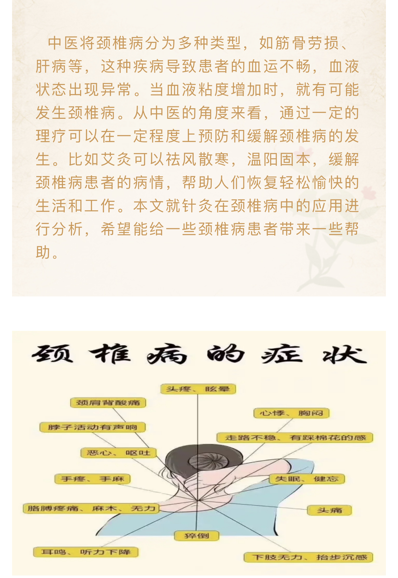 Hình ảnh 2