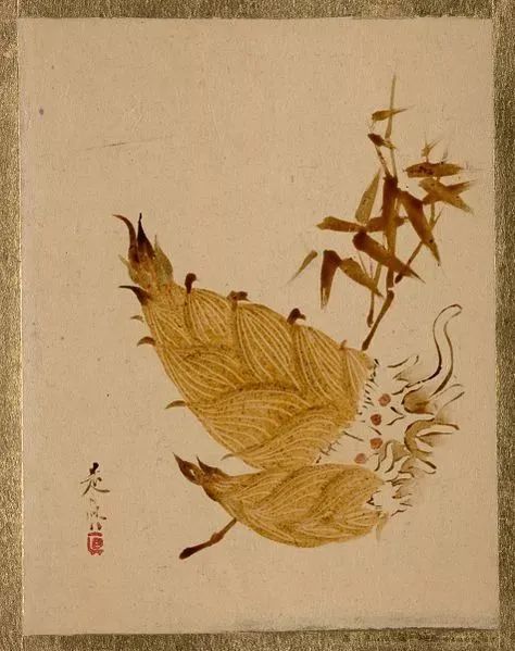 圖片
