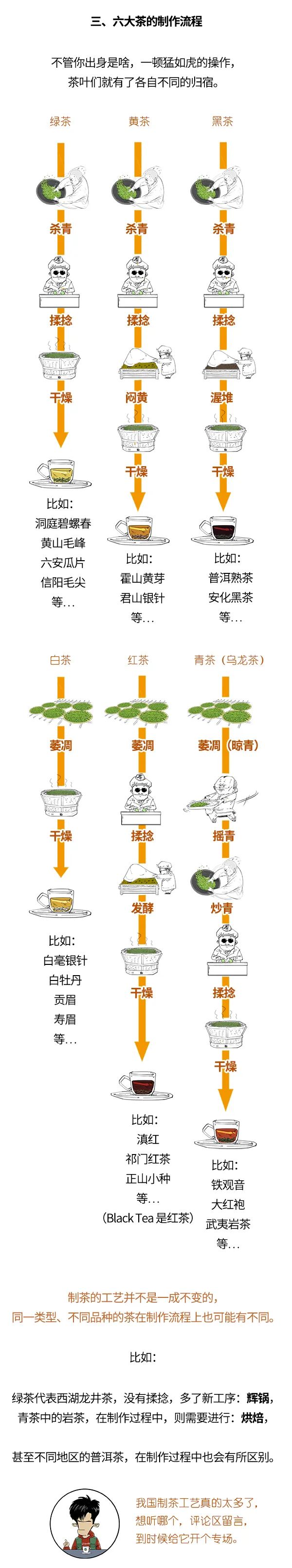 红茶、绿茶、乌龙茶，竟然是一家？：科普中国