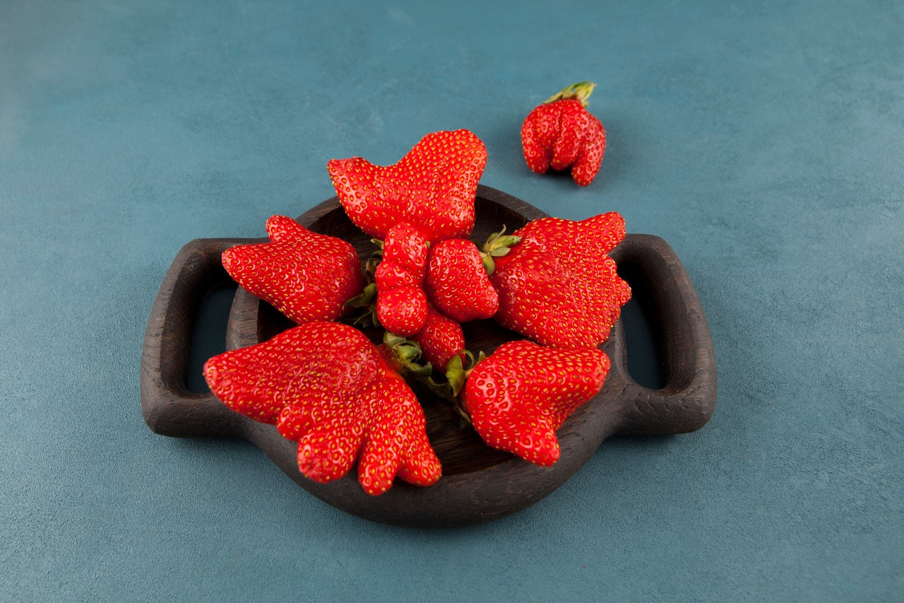 草莓畸形个大是因为用了膨大素？吃了会致癌？