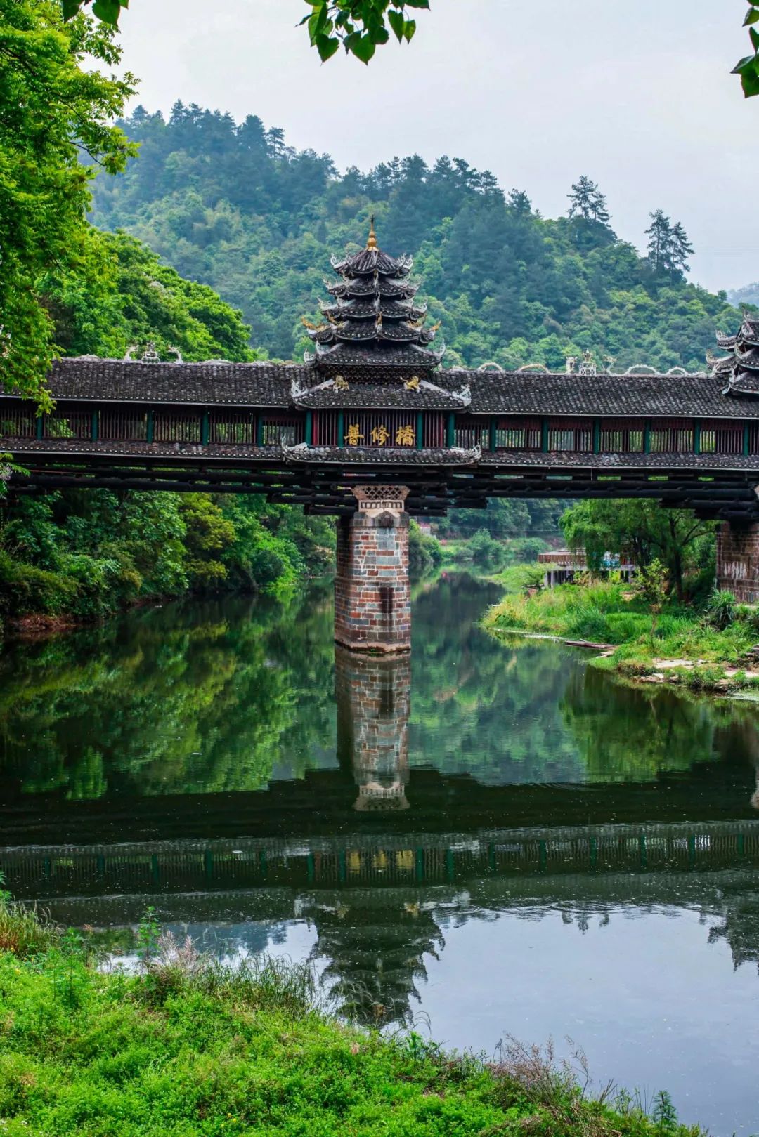 圖片