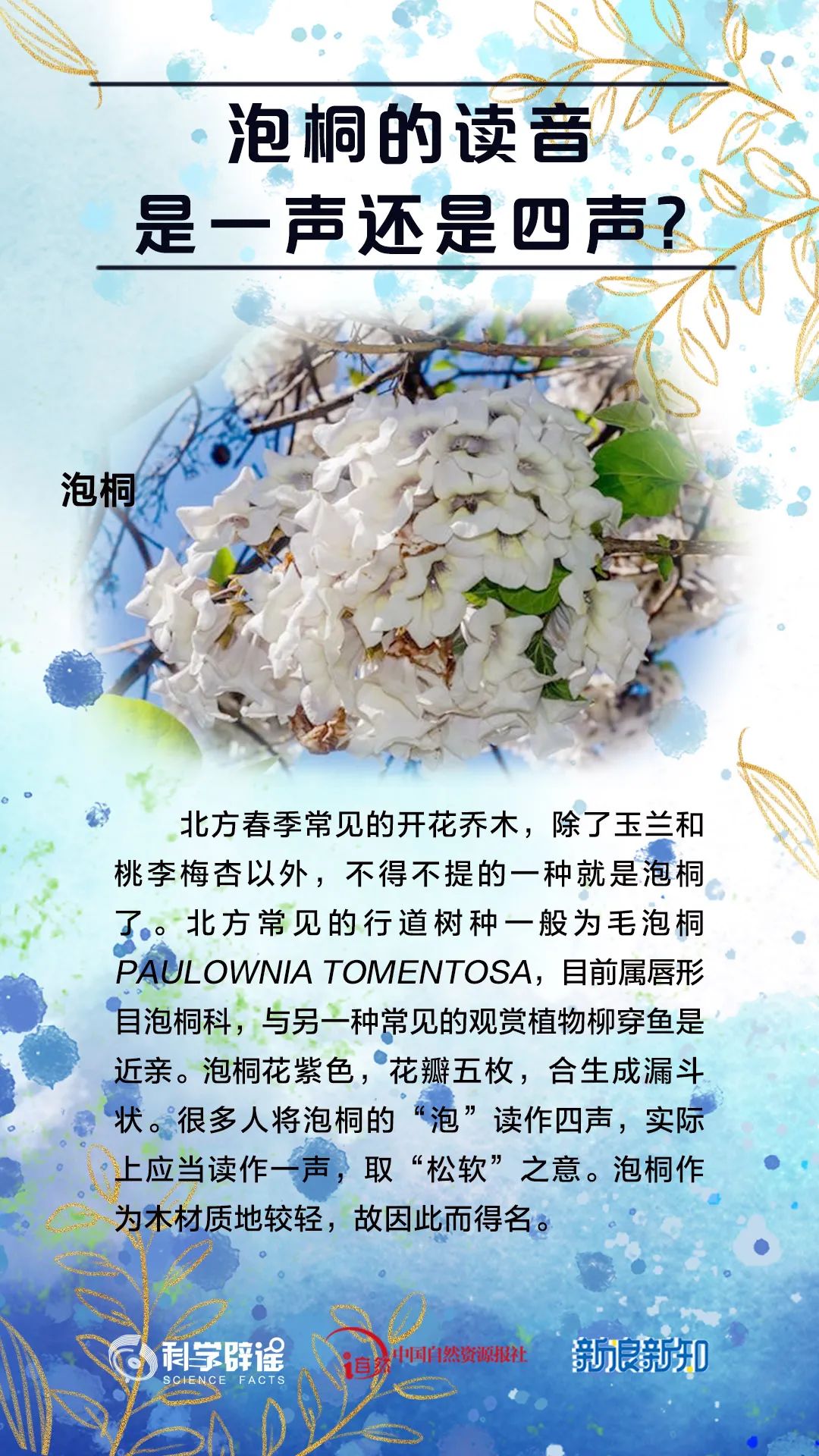 ​杨树会掉“毛毛虫”？植物的乳汁都有毒？花花这么美，谣言别沾边儿！ · 