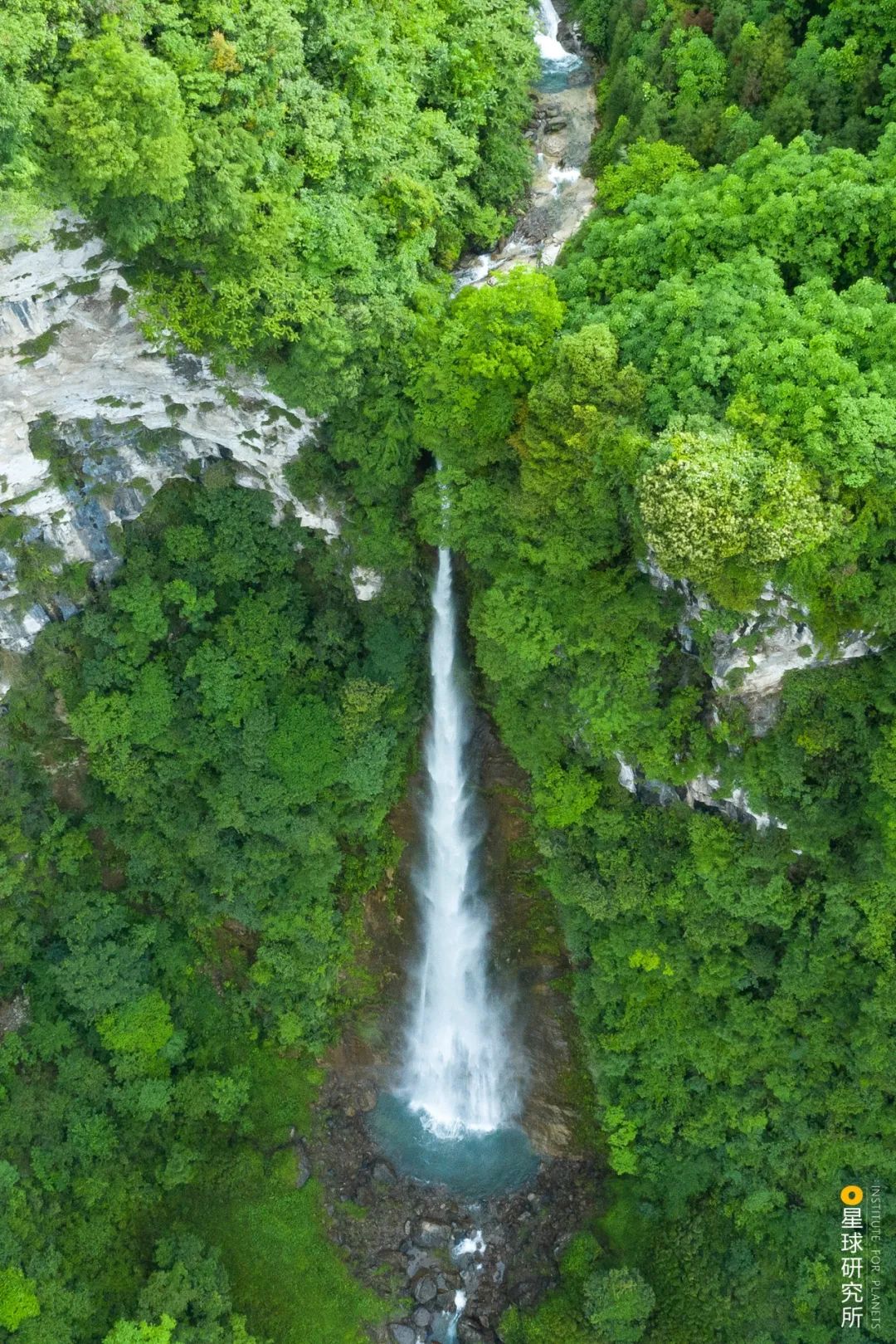 圖片