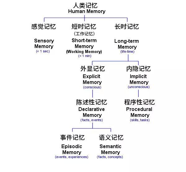 学了三年的东西，为什么高考完就忘了？