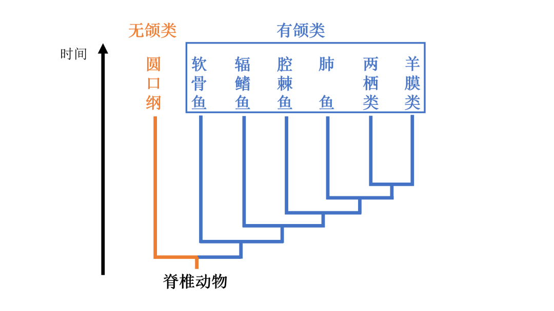 图文详情——科普中国资源服务