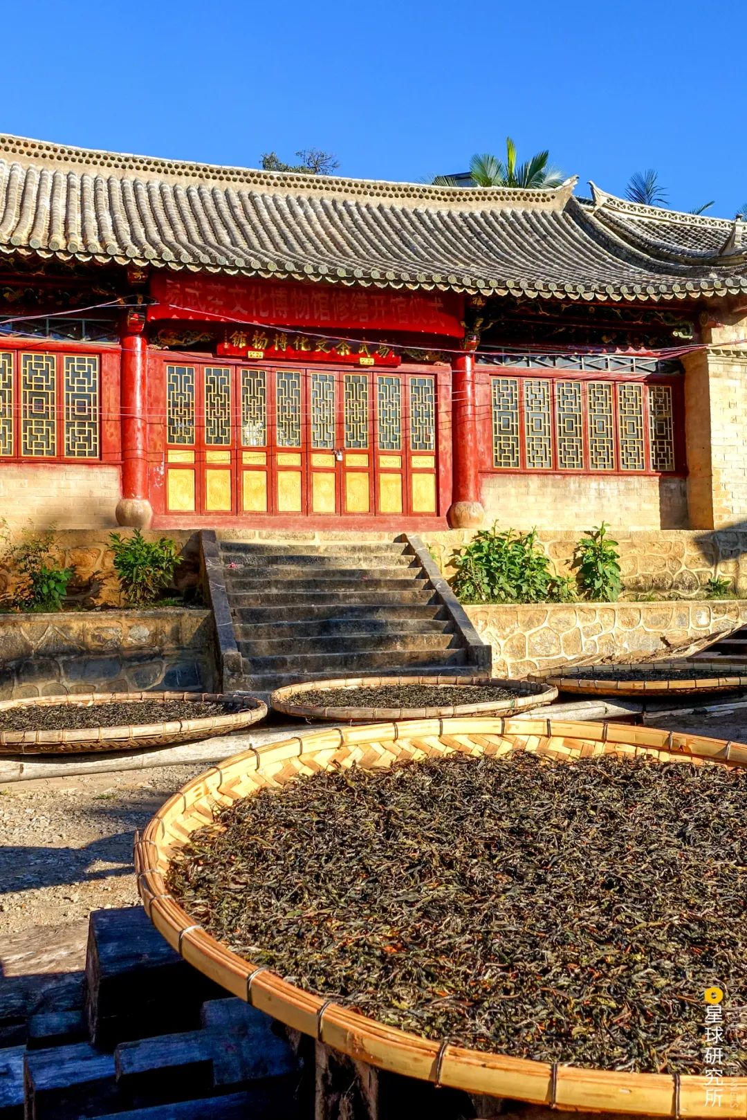 圖片