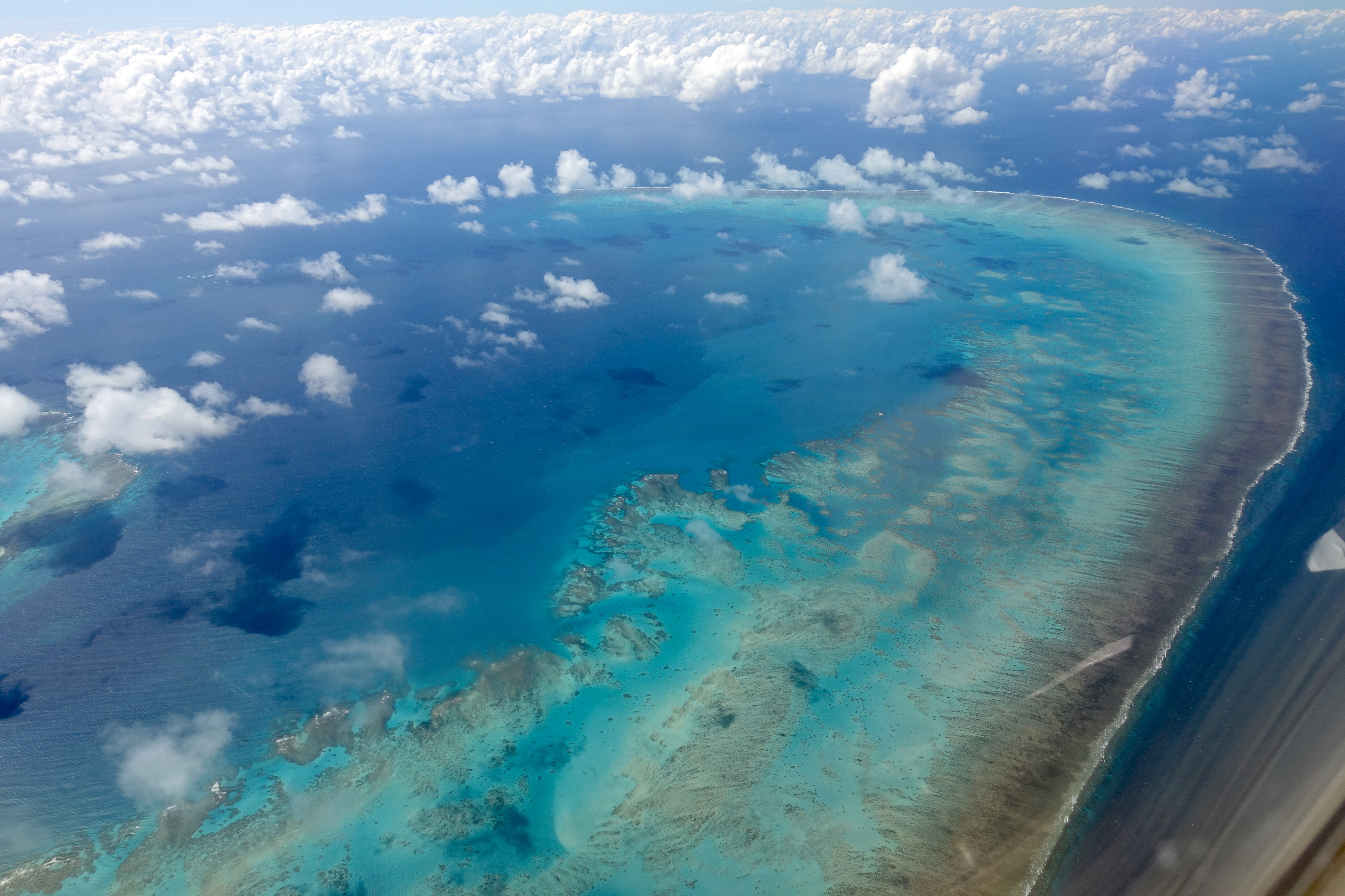 图3：阿灵顿礁鸟瞰图，这是阿灵顿礁是大堡礁的主要珊瑚礁之一（来源：Wikipedia）.jpg