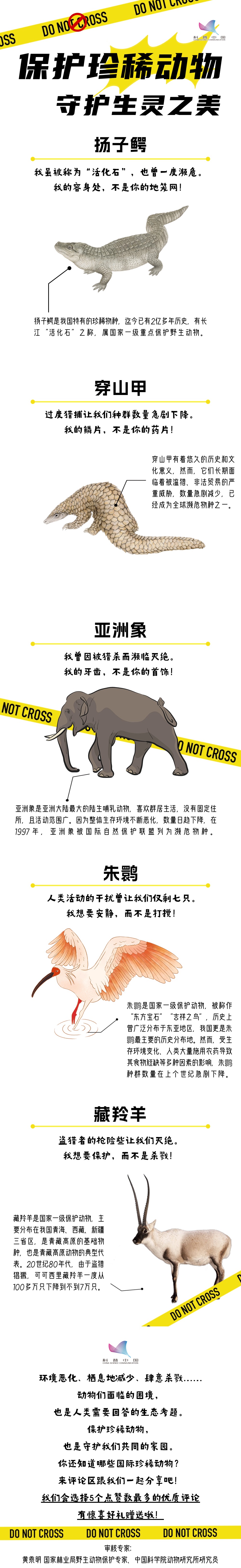 珍稀动物保护日长图.jpg