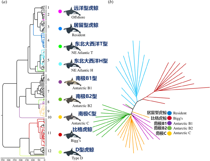 微信图片_20240509163424.png