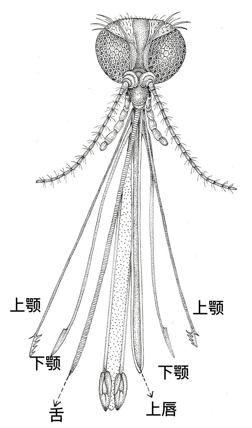 微信图片_20240529154606.jpg