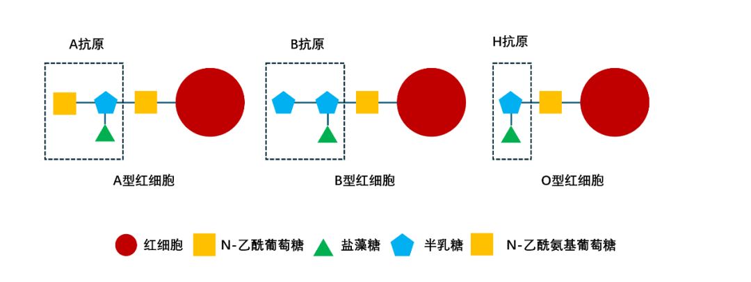 微信图片_20240614082115.png