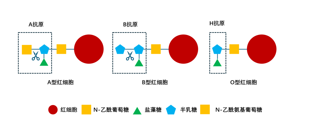 微信图片_20240614082129.png