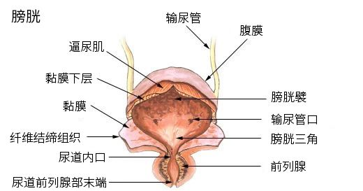 微信图片_20240624143538.jpg