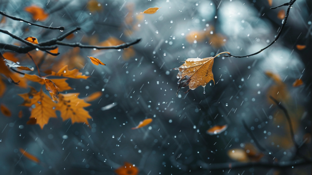 
            本周北京有雨，气温下降！为何说“一场秋雨一场寒”？        