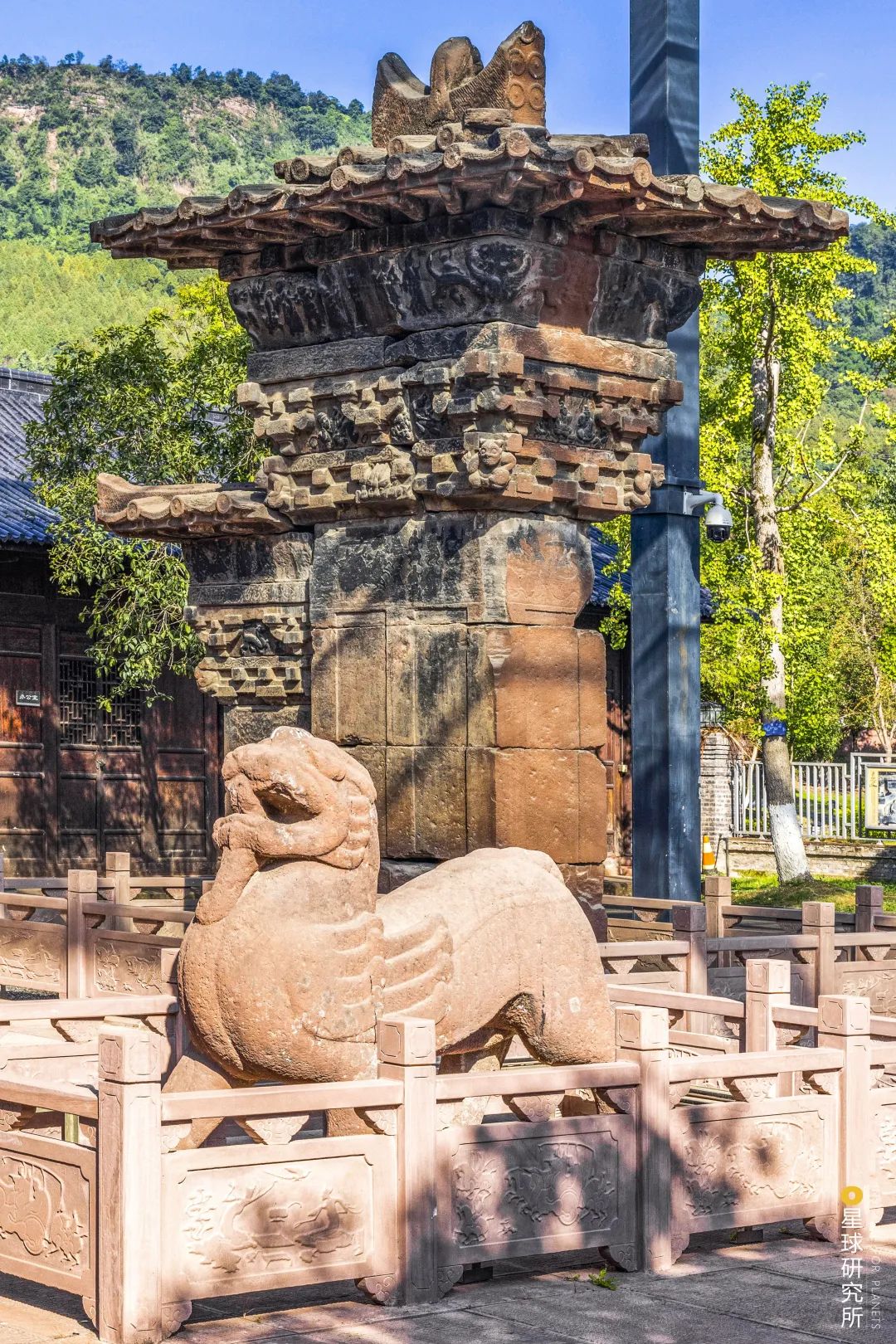 圖片