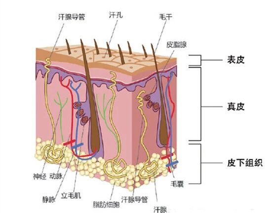 微信图片_20241031104105.jpg