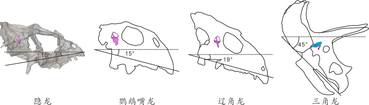 微信图片_20241111103721.png