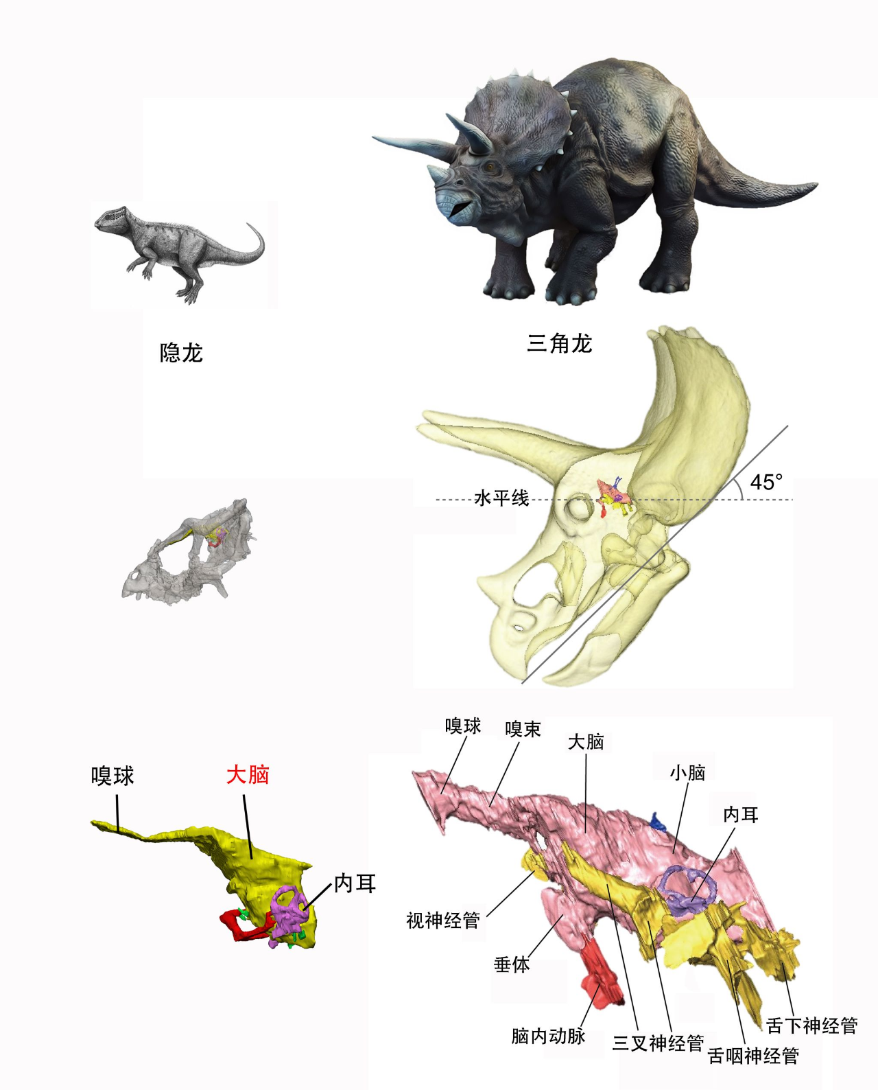 微信图片_20241111103715.png