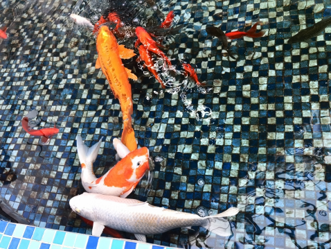 微信图片_20241227091805.png