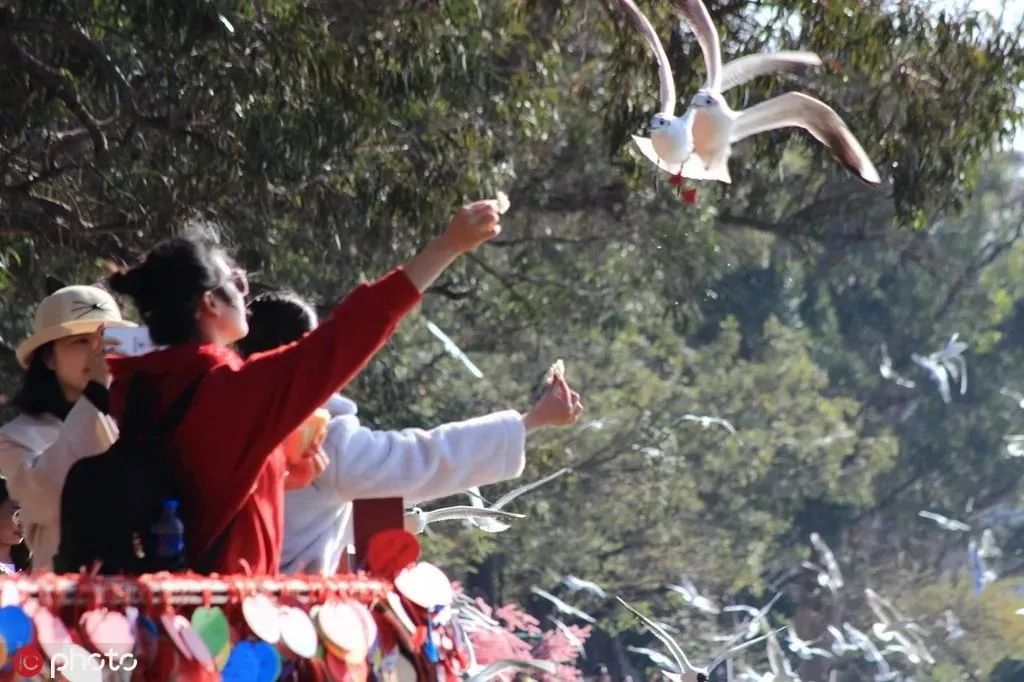 圖片