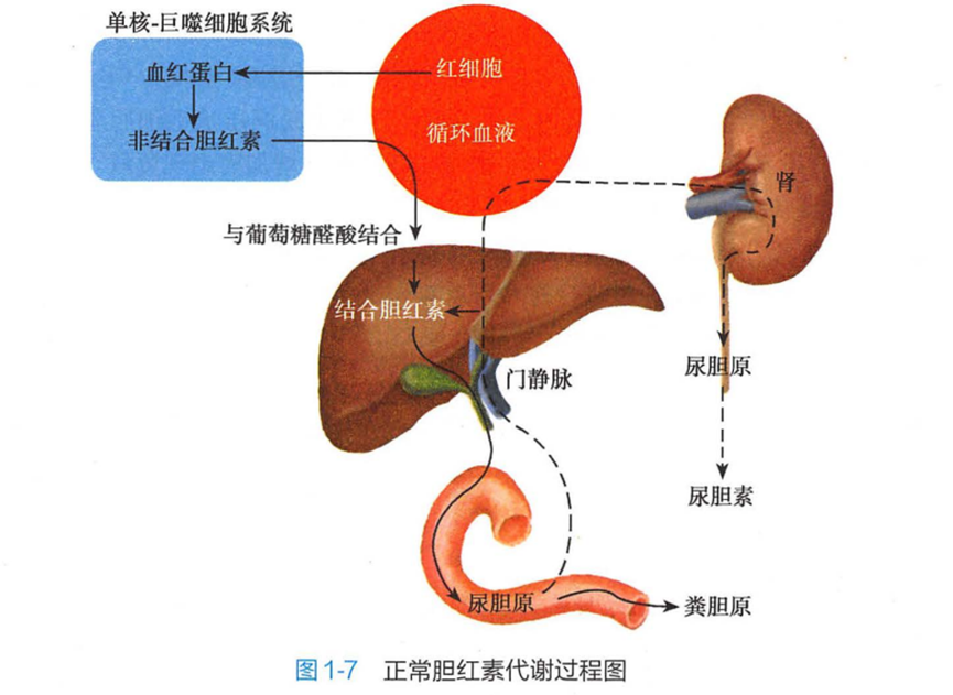 微信图片_20250121101405.png