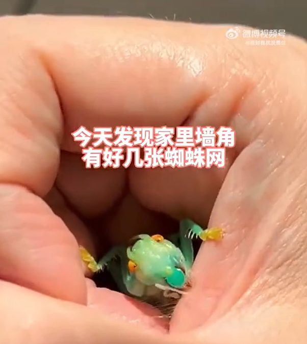 微信图片_20250213135131.png