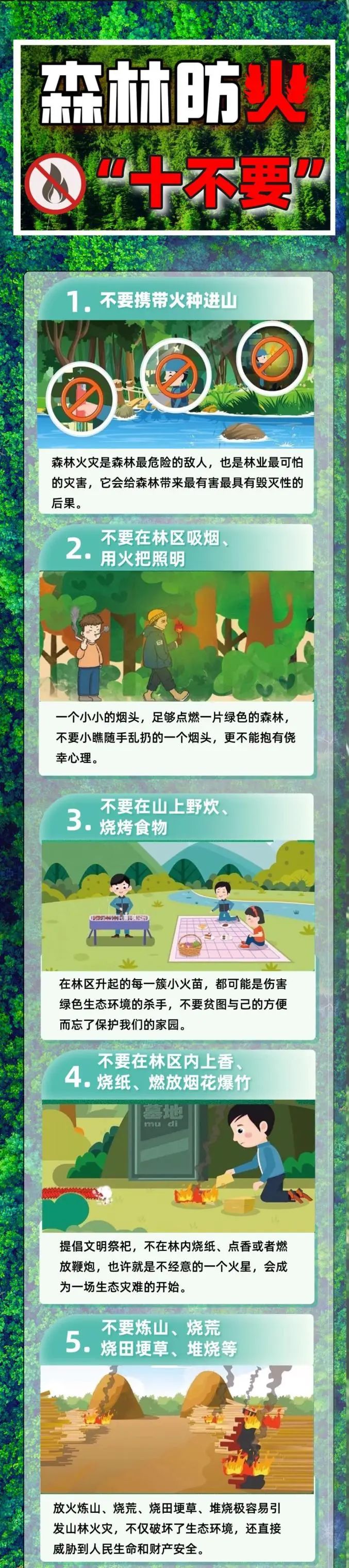 近期干燥多风，山火易燃！谨记森林防火“十不要”→-第4张图片-大猪科技网