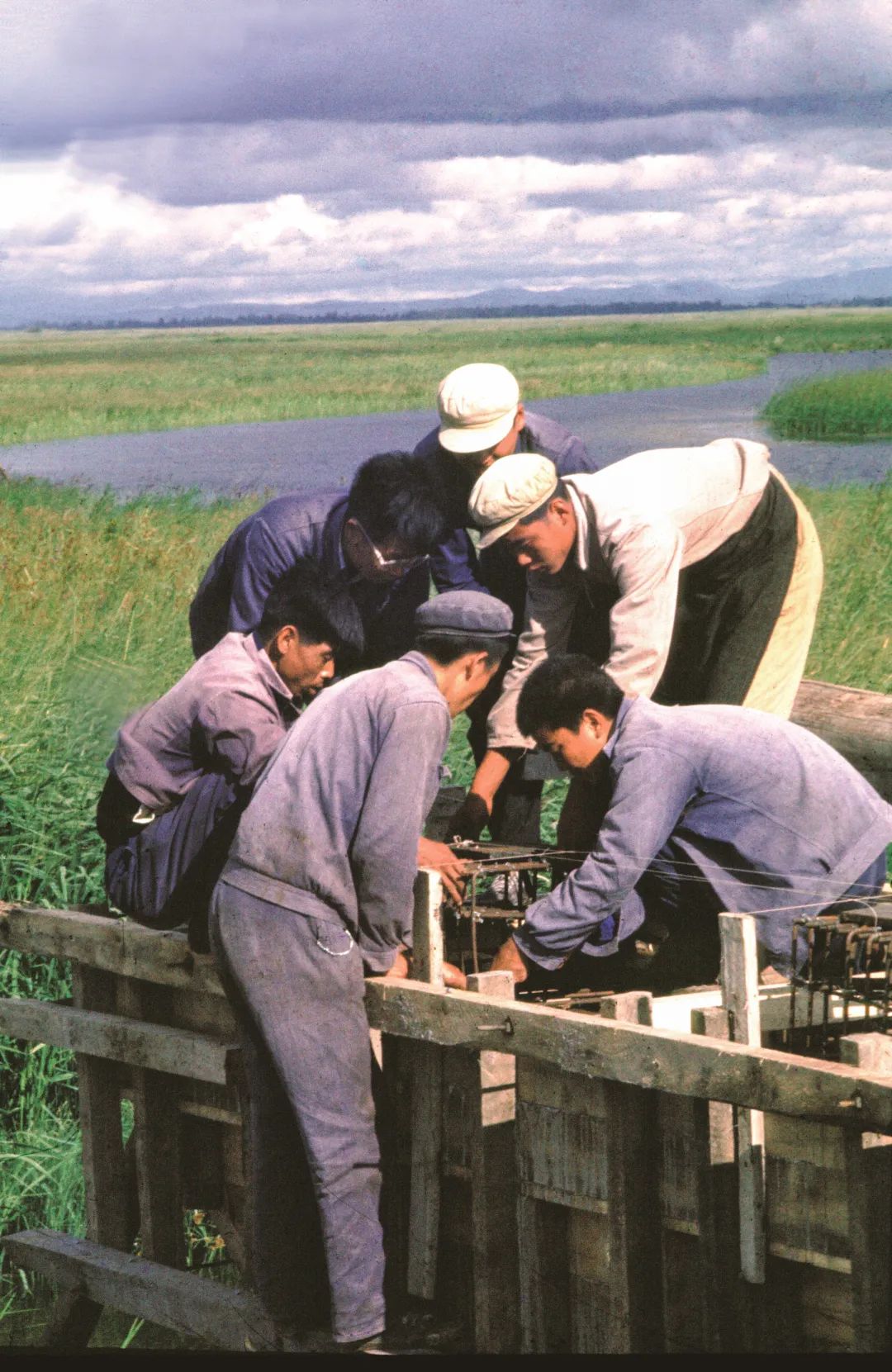 圖片