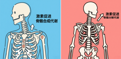 微信图片_20250514095325.png