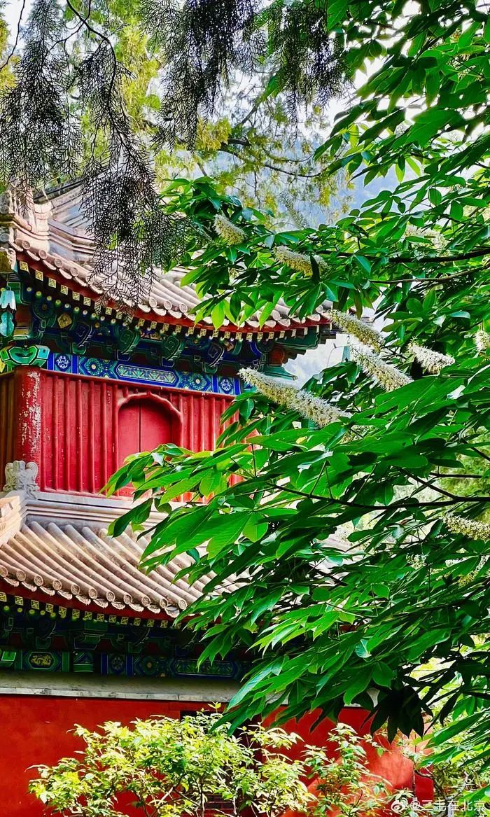 植物园.jpg