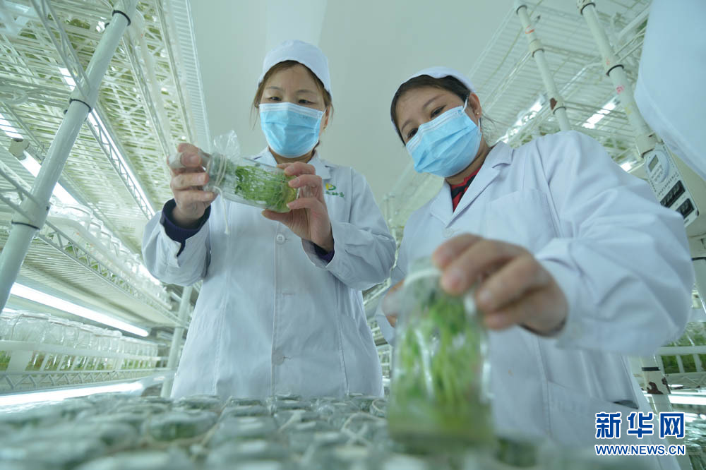 数字素养月｜@耕地：请查收您的气候“身份证”-第4张图片-大猪科技网