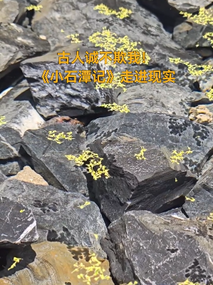 《小石潭记》现实版火了！“水至清”是如何形成的？-第1张图片-大猪科技网
