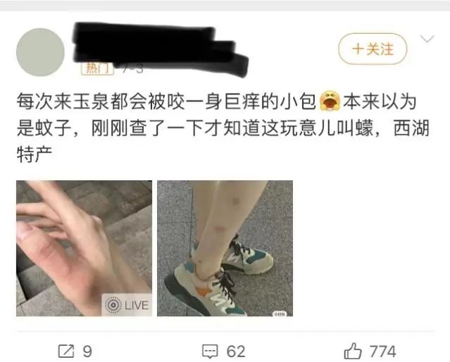 最近，身上突然不明原因痒一下、又红又肿？详戳此文（不是蚊子）-第3张图片-大猪科技网