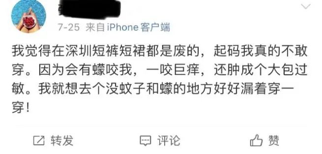 最近，身上突然不明原因痒一下、又红又肿？详戳此文（不是蚊子）-第2张图片-大猪科技网