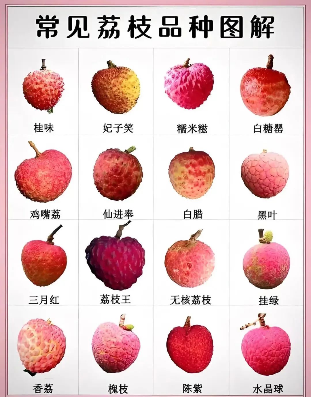 品种.jpg
