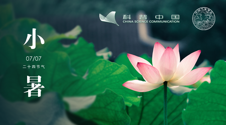 小暑横版.png