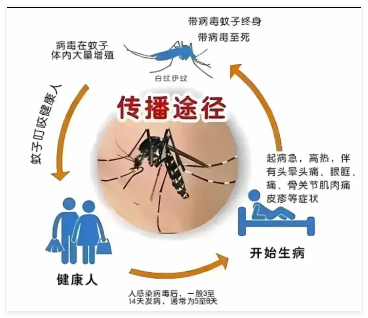 图源：中国疾控中心.png