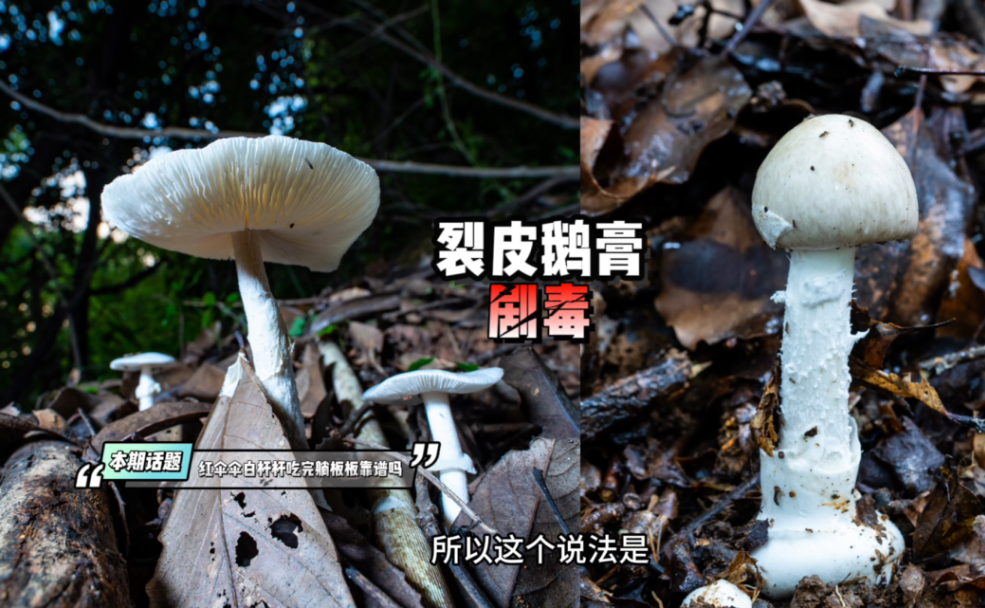 1754551258339_副本.png