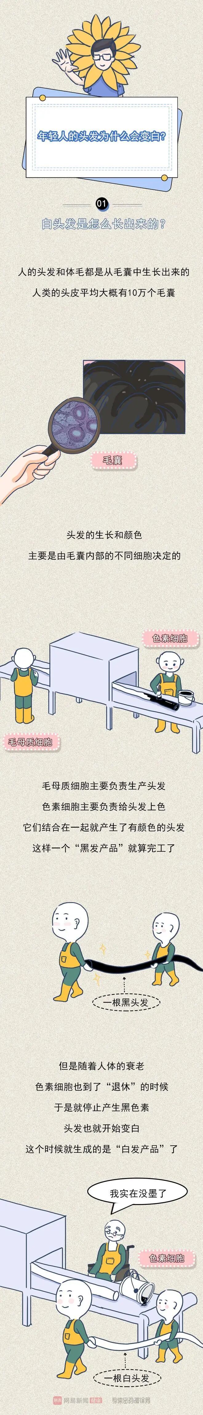 下载1