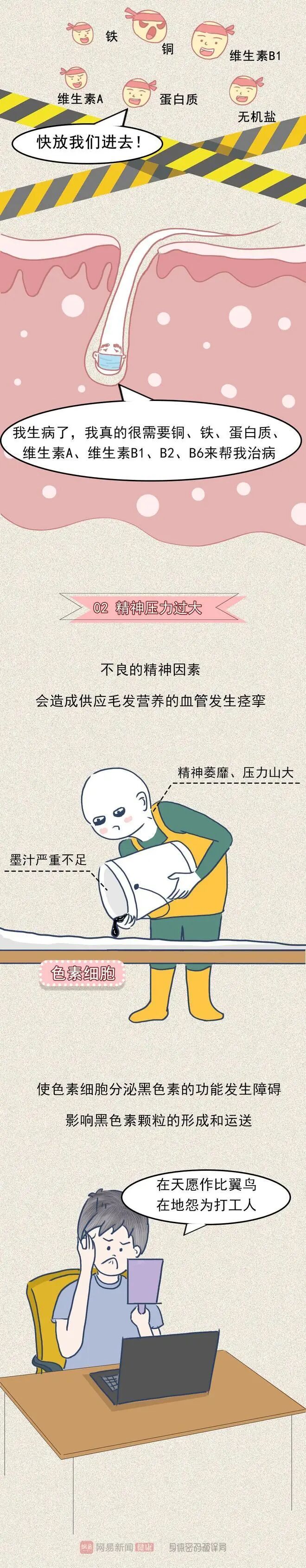 下载3