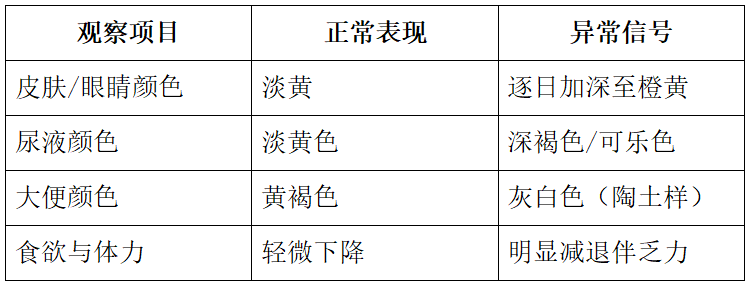 微信图片_20250912140716.png