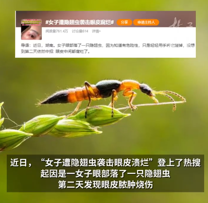 微信图片_20250930121007.png