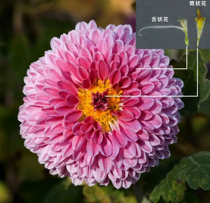 微信图片_20251006162151.png
