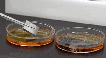 &ldquo;地表超强材料&rdquo;来了，中国研发！