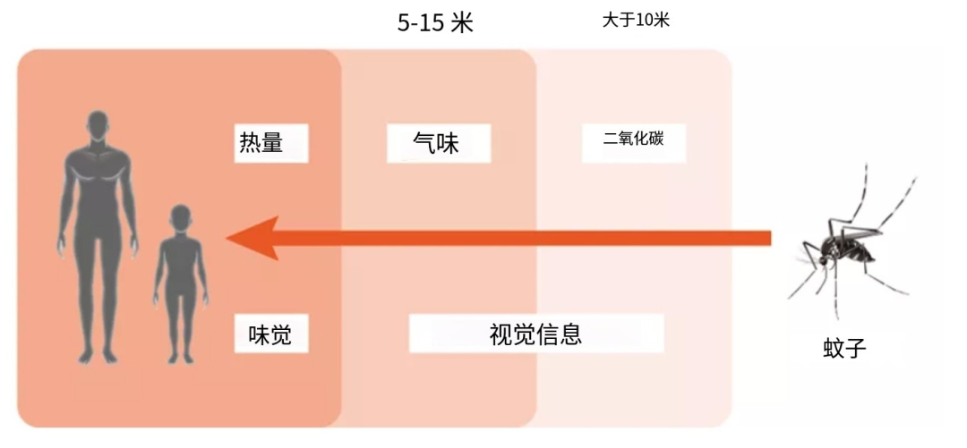 a73f2d.png