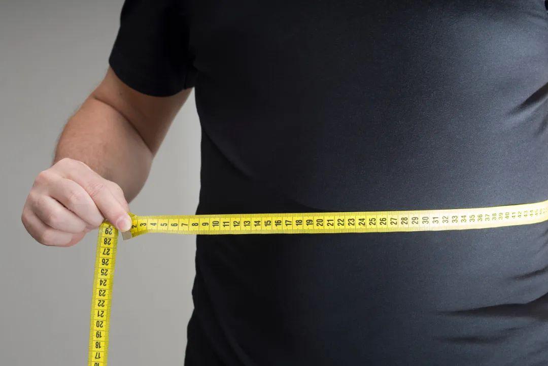 减肥总反弹？原因终于找到了！研究发现：肥胖会改变大脑神经元......   ：科普中国
