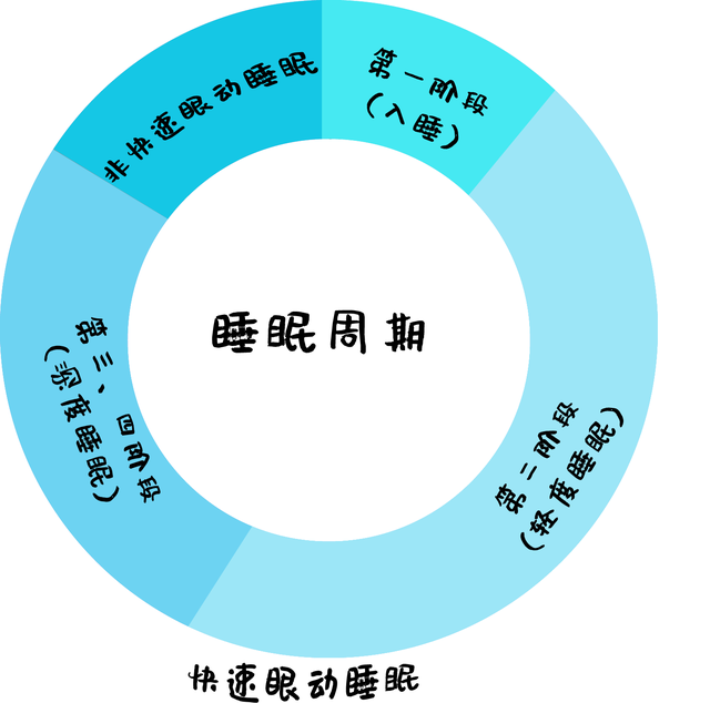 一般来说，深度睡眠是几个小时？此时进入“雷打不动”状态