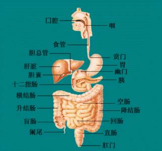 科普视频 | 两分钟了解电子烟含有哪些有害成分？